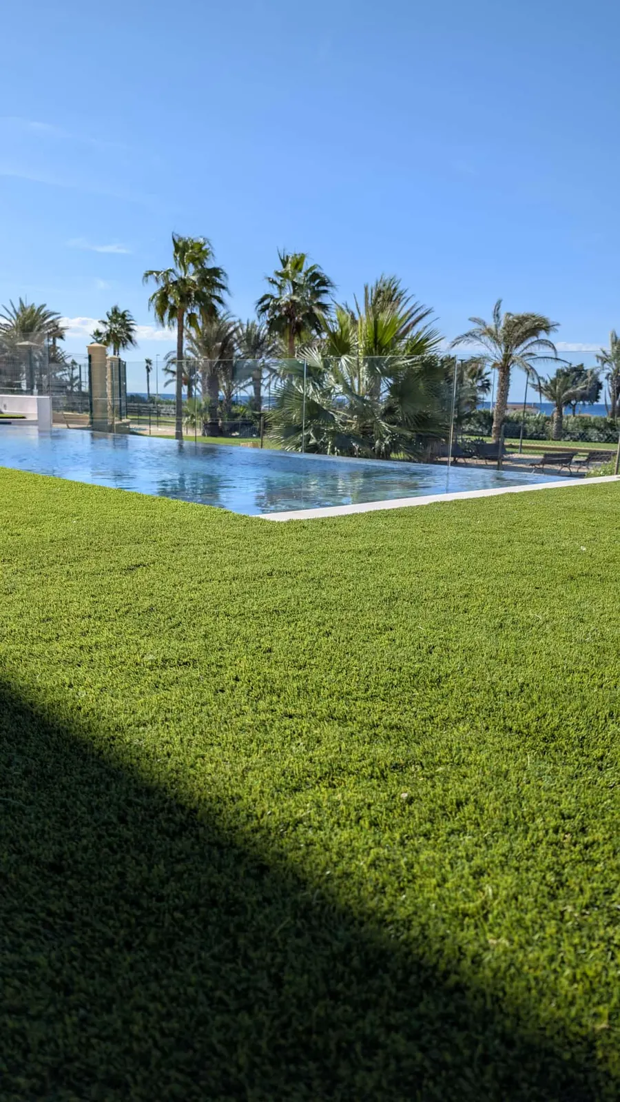Césped artificial junto a una piscina desbordante con palmeras, trabajo de Sector Natura