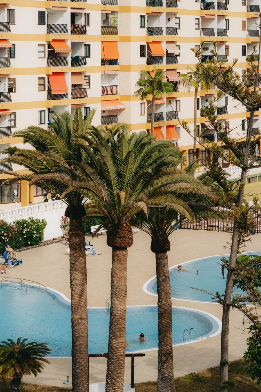 Zona común de una urbanización con piscina y palmeras