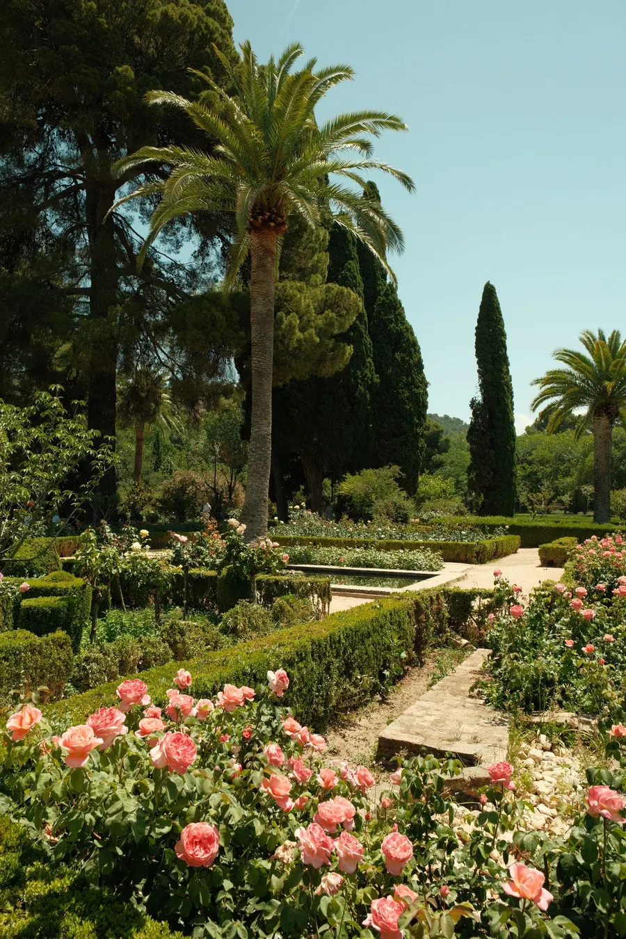 Jardín con palmeras, cipreses, setos bajos y rosales